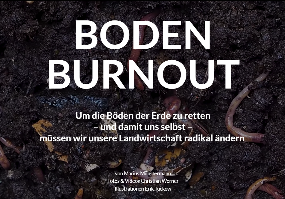 Screenshot Boden Burnout