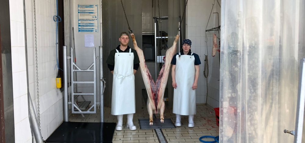 Zwei Schlachter mit Schwein