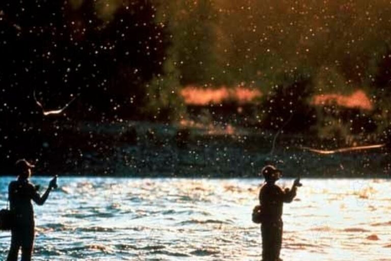 Aus der Mitte entspringt ein Fluss