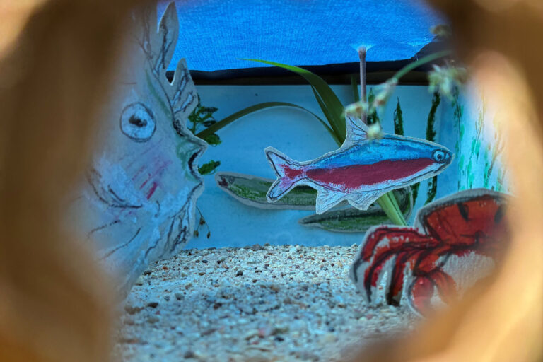 "Unterwasserwelt"